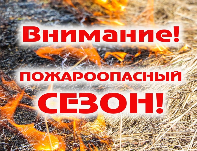 Распоряжением Правительства Новгородской области от 22.03.2024 №193-рг установлено начало пожароопасного сезона на территории Новгородской области с 26 марта 2024 года.