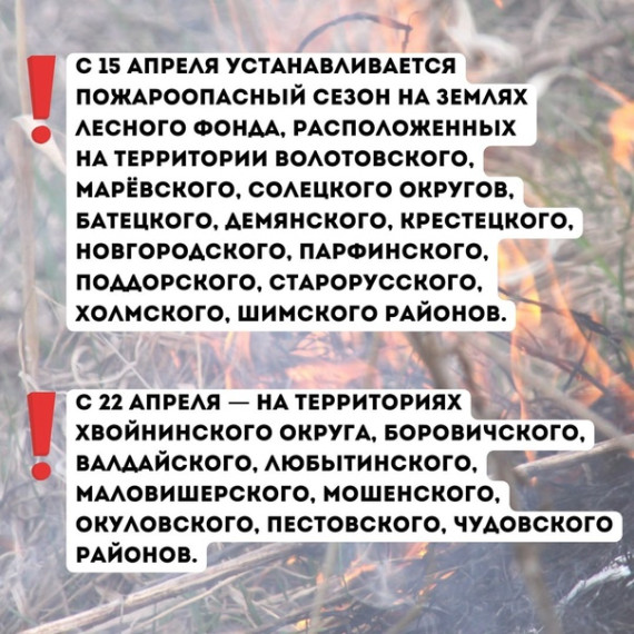 С 15 апреля в ряде районов Новгородской области на землях лесного фонда будет действовать пожароопасный сезон🔥 Соответствующее постановление подписали в региональном министерстве природных ресурсов, лесного хозяйства и экологии..