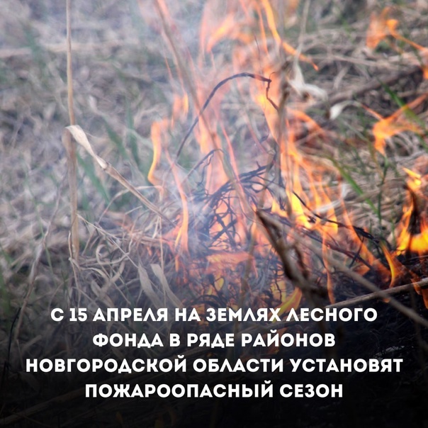 С 15 апреля в ряде районов Новгородской области на землях лесного фонда будет действовать пожароопасный сезон🔥 Соответствующее постановление подписали в региональном министерстве природных ресурсов, лесного хозяйства и экологии..