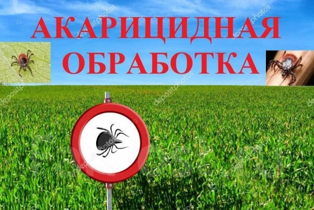Внимание! Акарицидная обработка от клещей.